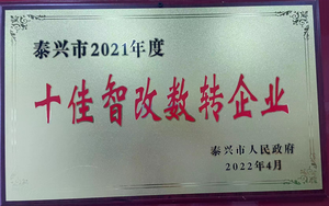 2021年度泰兴市十佳智改数装企业